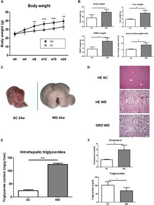 The Inhibitory T Cell Receptors PD1 and 2B4 Are Differentially Regulated on CD4 and CD8 T Cells in a Mouse Model of Non-alcoholic Steatohepatitis